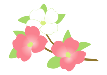 院長　5/7～5/9休診のお知らせ