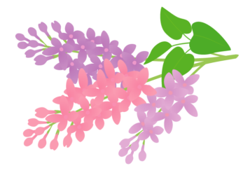 町の健康診断（特定健康診査）のお知らせ