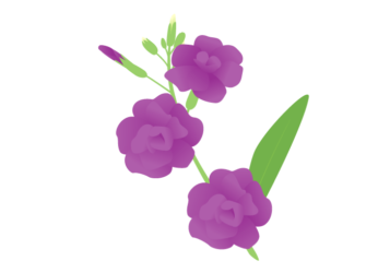 高齢者肺炎球菌ワクチン接種をお考えの方へ